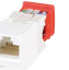 Panduit CJ5E88TGAW modul UTP cat.5E