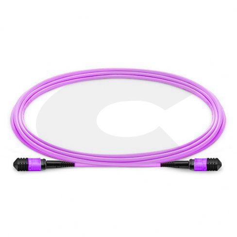 Optický patch kabel MPO - MPO 24 vláken, 50/125 OM4, LSZH - Délka: 1m