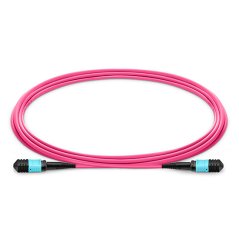MPO Trunk kabel